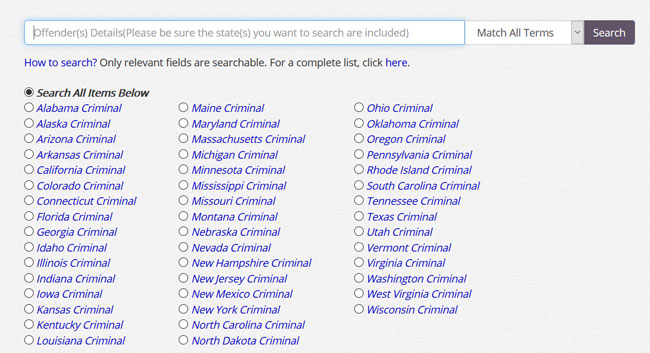 PublicData printscreen Criminal Advanced Search